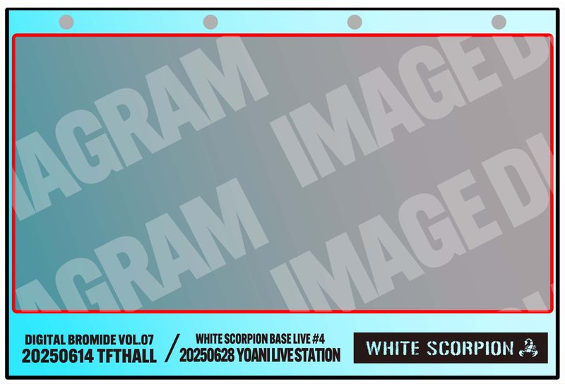 招木 4枚タイプ_ DIGITAL BROMIDE VOL.07 20250614 TFTHALL